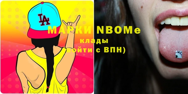 индика Кукмор