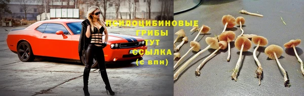 тгк Лихославль