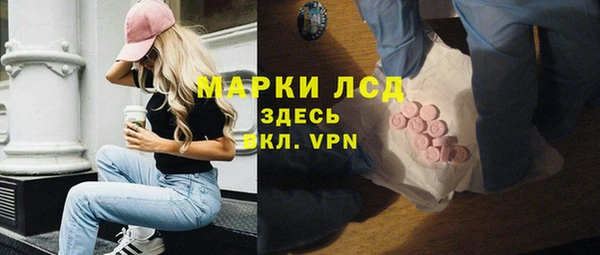 индика Кукмор