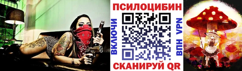 Псилоцибиновые грибы Magic Shrooms  Балтийск 