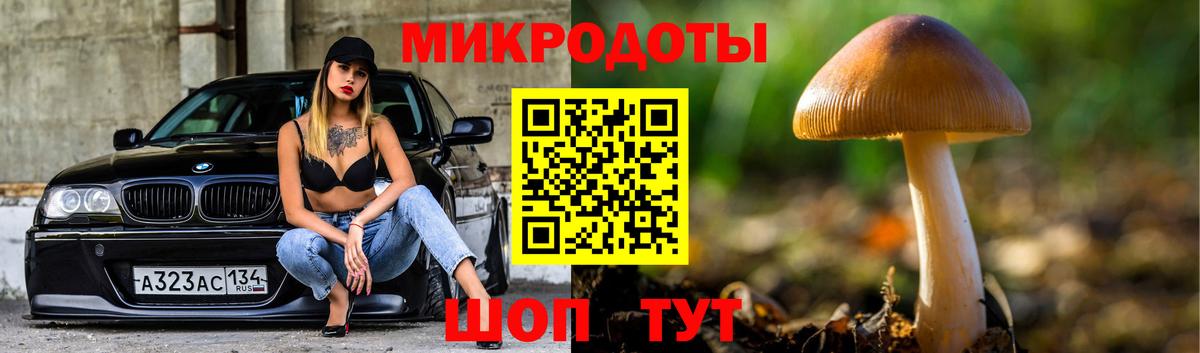 Галлюциногенные грибы MAGIC MUSHROOMS  цена наркотик  Балтийск  Вход с VPN 