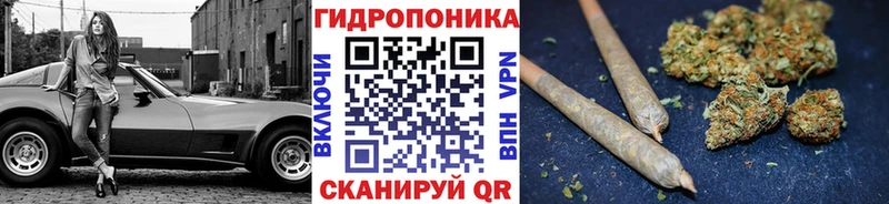 Канабис гибрид Балтийск