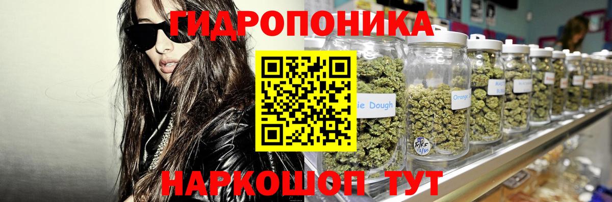 Балтийск  Бошки марихуана гибрид  МАРИХУАНА гибрид  Бошки марихуана Bruce Banner  Вход с VPN 